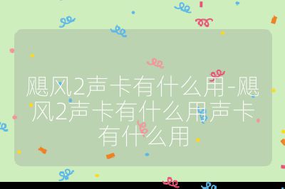 颶風(fēng)2聲卡有什么用-颶風(fēng)2聲卡有什么用聲卡有什么用