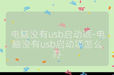電腦沒有usb啟動項-電腦沒有usb啟動項怎么辦