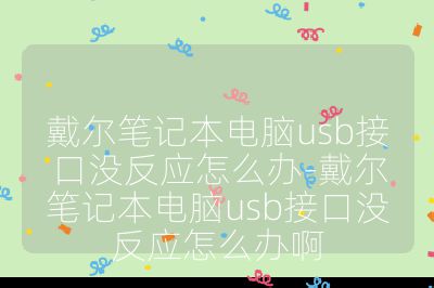 戴爾筆記本電腦usb接口沒反應怎么辦-戴爾筆記本電腦usb接口沒反應怎么辦啊