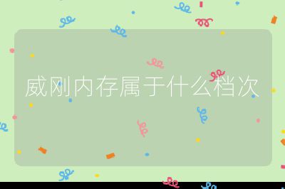 威剛內存屬于什么檔次