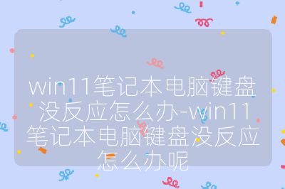 win11筆記本電腦鍵盤沒反應怎么辦-win11筆記本電腦鍵盤沒反應怎么辦呢