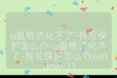 u盤格式化不了-有寫保護怎么辦-u盤格式化不了-有寫保護怎么辦window-11