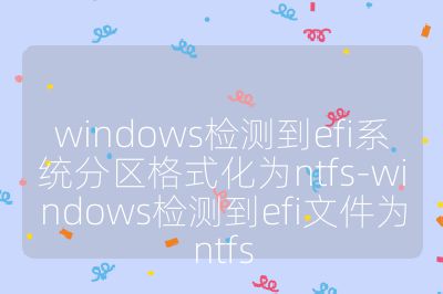 windows檢測到efi系統(tǒng)分區(qū)格式化為ntfs-windows檢測到efi文件為ntfs