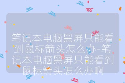 筆記本電腦黑屏只能看到鼠標(biāo)箭頭怎么辦-筆記本電腦黑屏只能看到鼠標(biāo)箭頭怎么辦啊