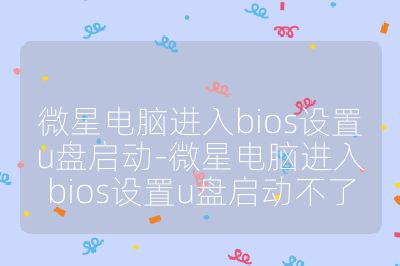 微星電腦進入bios設置u盤啟動-微星電腦進入bios設置u盤啟動不了