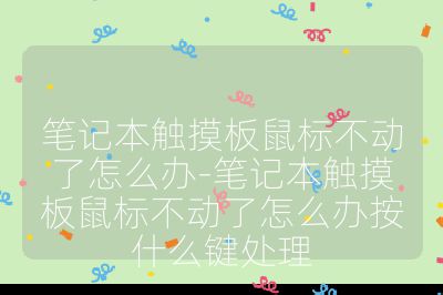 筆記本觸摸板鼠標不動了怎么辦-筆記本觸摸板鼠標不動了怎么辦按什么鍵處理