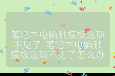 筆記本電腦觸摸板選項不見了-筆記本電腦觸摸板選項不見了怎么辦