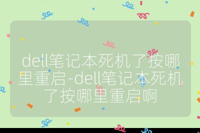 dell筆記本死機了按哪里重啟-dell筆記本死機了按哪里重啟啊