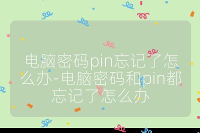 電腦密碼pin忘記了怎么辦-電腦密碼和pin都忘記了怎么辦