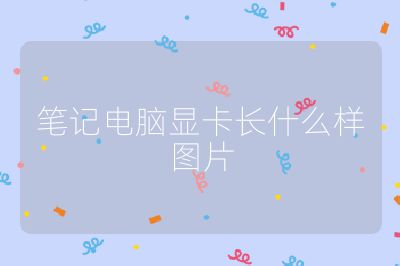 筆記電腦顯卡長什么樣圖片